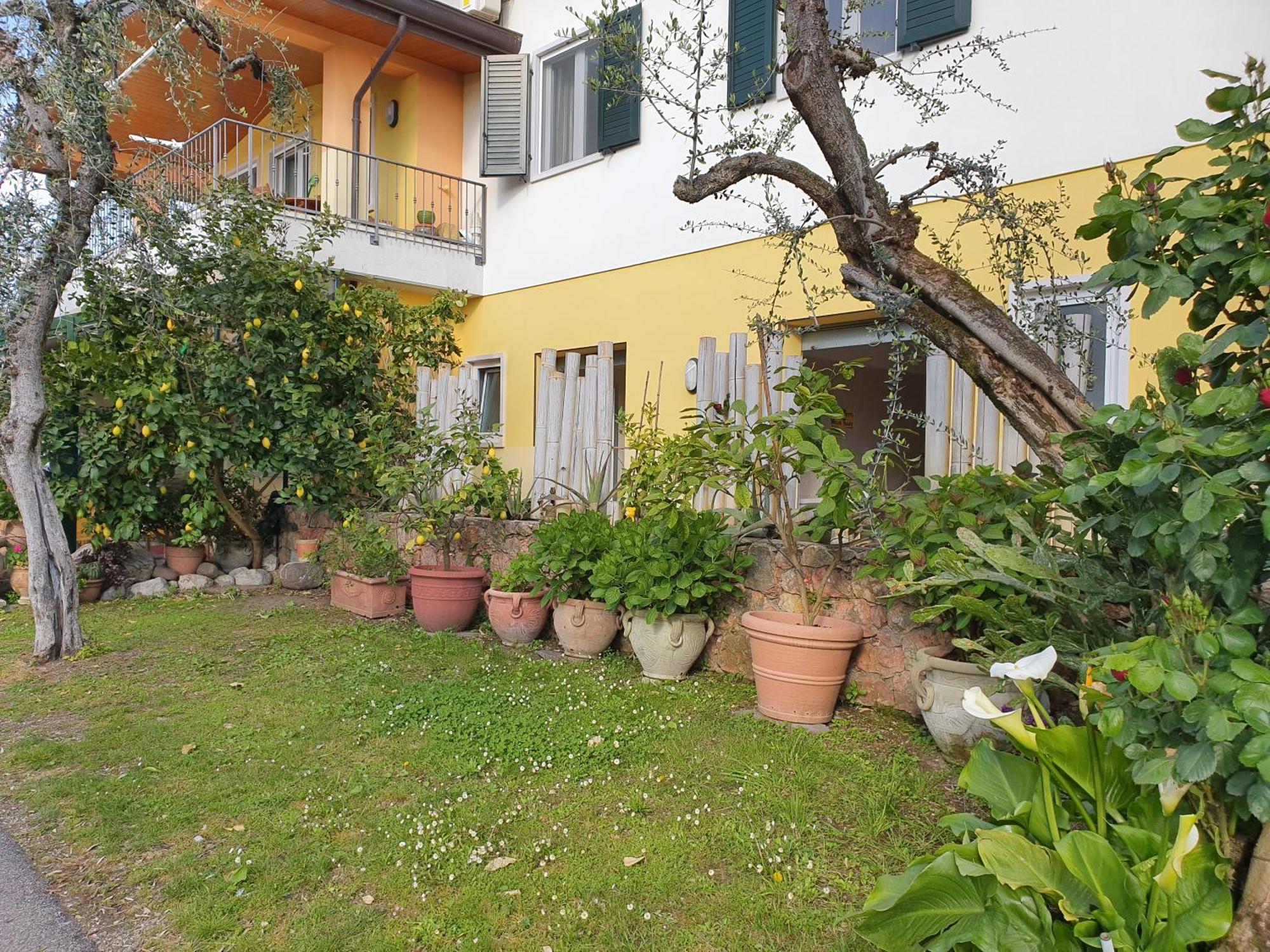 Le Maior Brenzone sul Garda
