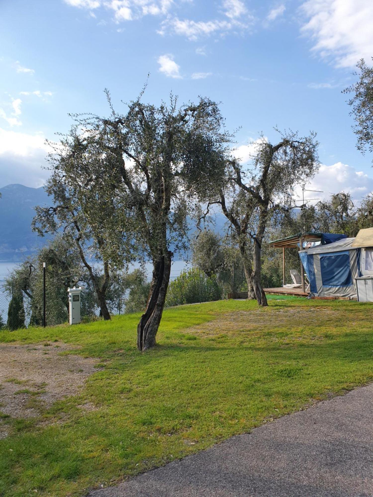 Campsite Le Maior *