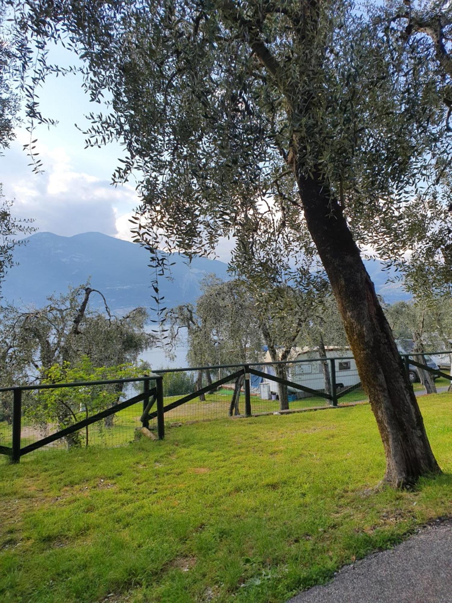 Le Maior Brenzone sul Garda