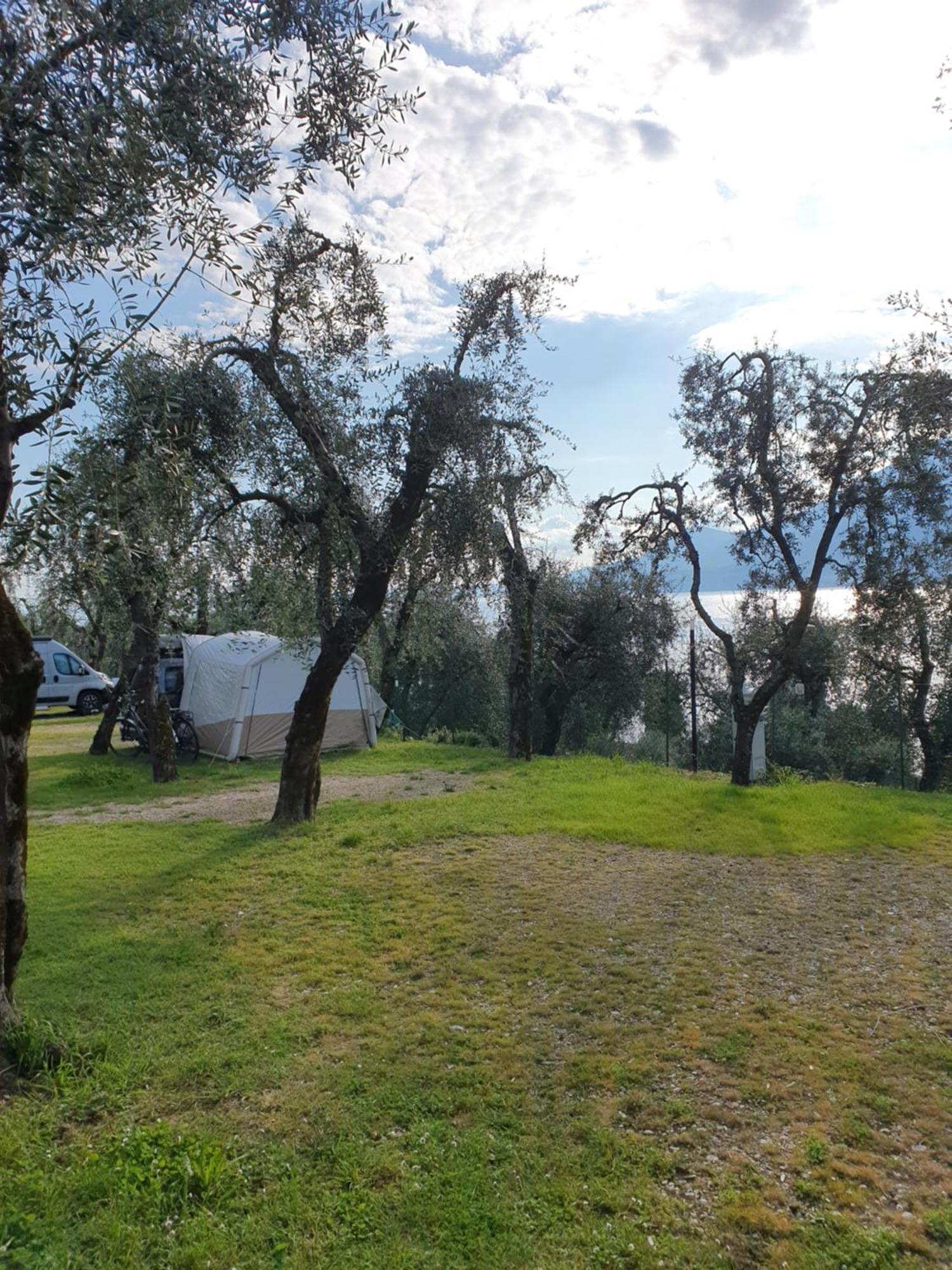 Campsite Le Maior *