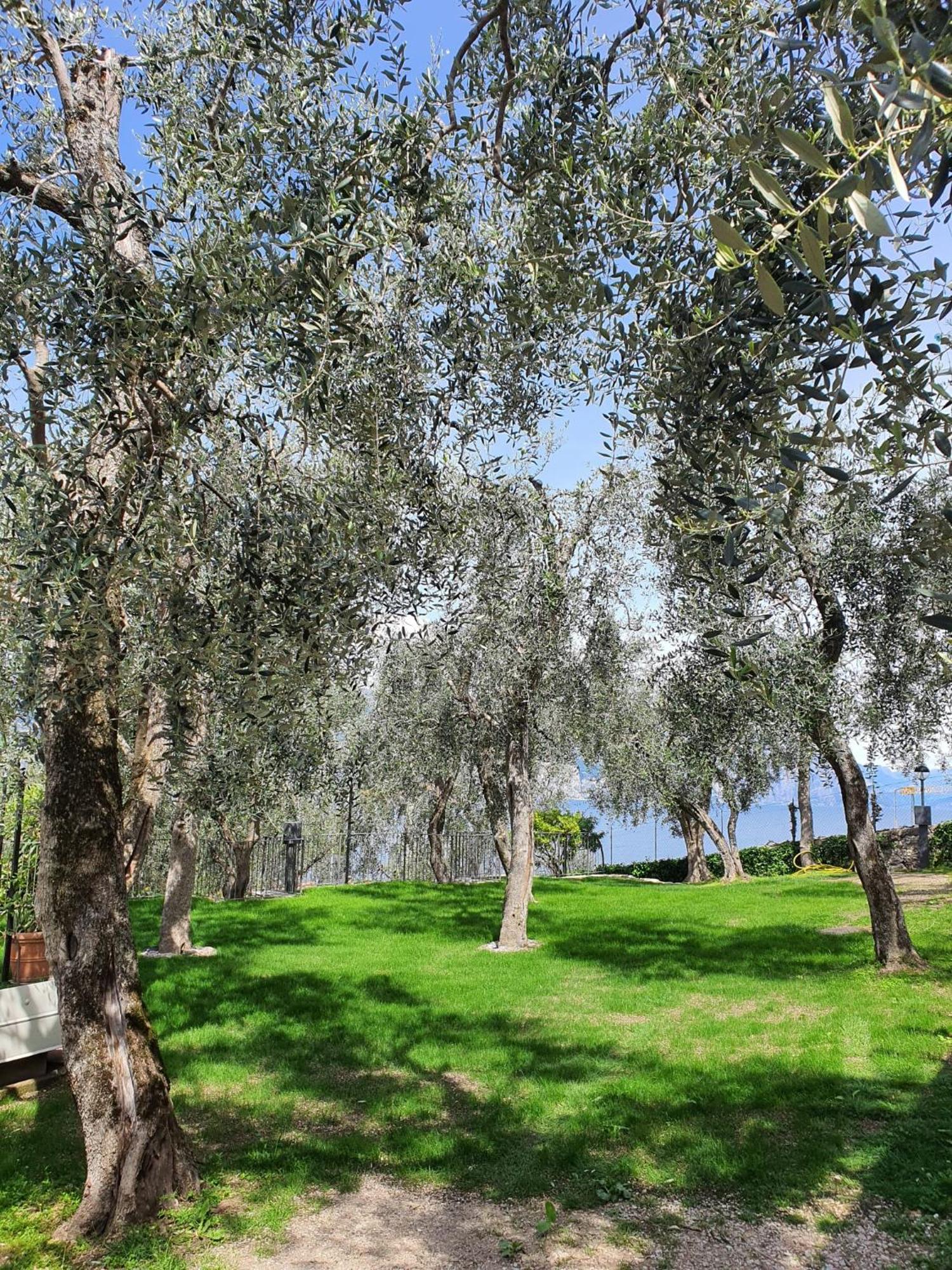 Campsite Le Maior *