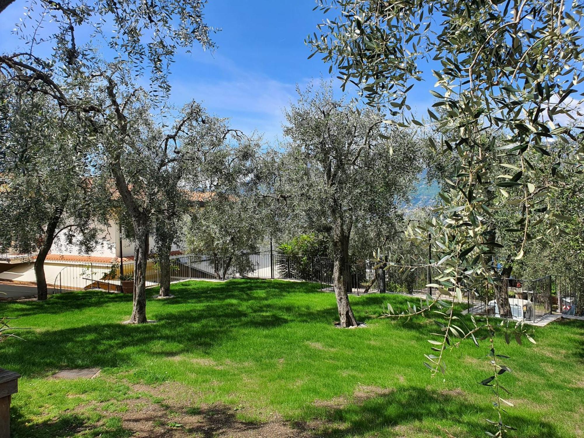 Le Maior Brenzone sul Garda